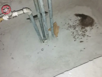 南岔卫生间测漏水价格明细